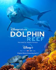 دانلود مستند Dolphin Reef 2020